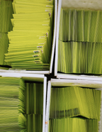 Craftoholic Club - February 2026