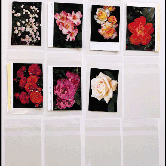 Itty Bitty Scrap Kit